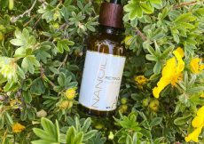 top-rated retinol face serum Nanoil